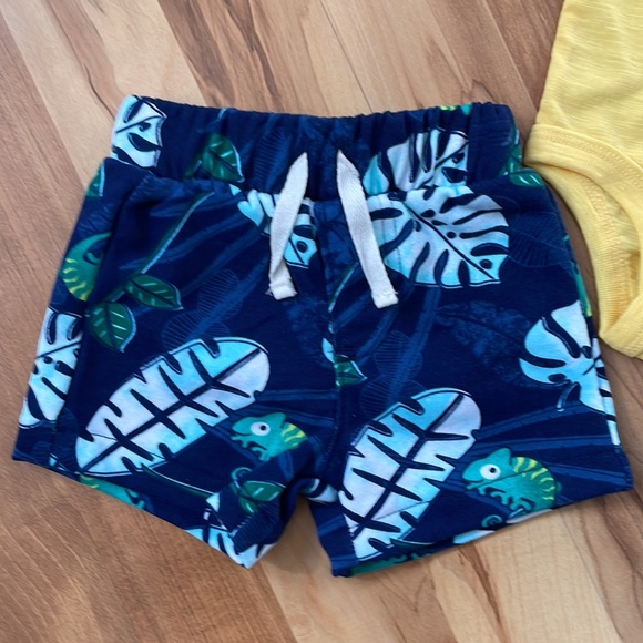 Two Piece Iguana Outfit - Picture 5 of 12